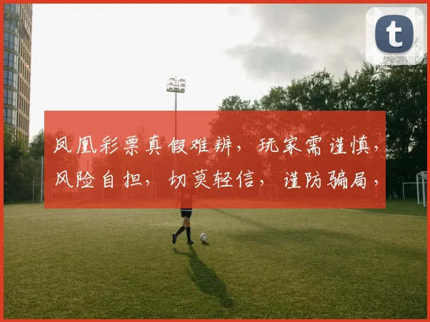 凤凰彩票真假难辨，玩家需谨慎，风险自担，切莫轻信，谨防骗局，三思而后行。