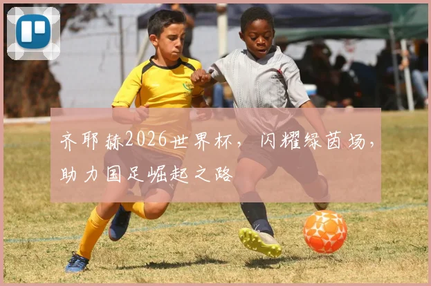 齐耶赫2026世界杯，闪耀绿茵场，助力国足崛起之路