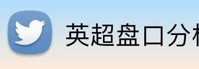 英超盘口分析返水 Logo